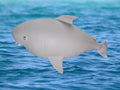 Jumbo Squishy Shark
