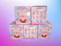 Little Piggy Blind Box