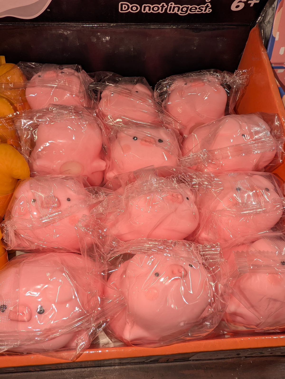 PIGS!